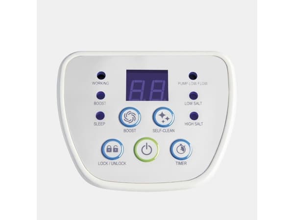 INTEX Krystal Clear Saltwater System