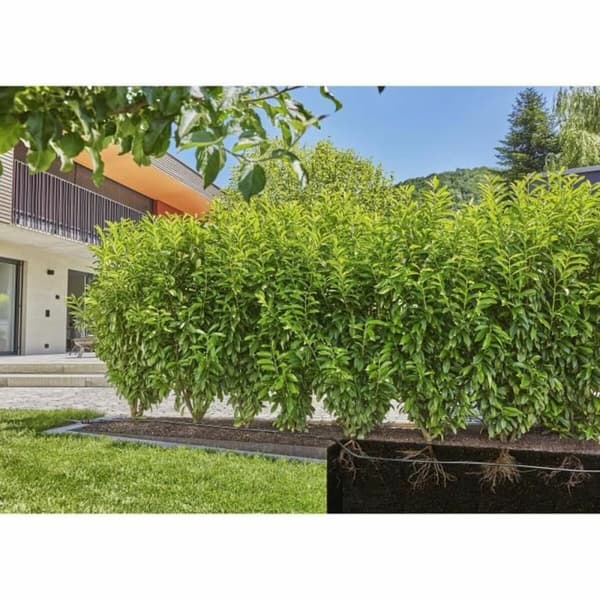 Dropprör Gardena 13503-20 25 m