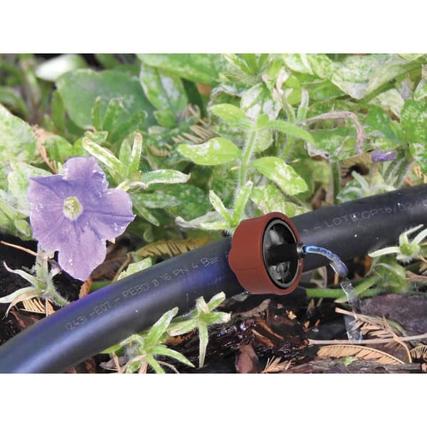 Selvkompenserende drypper Aqua Control 906410 4 l/h Automatisk rengøring 10 enheder