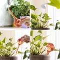 Miniatyrbillede 4 af 9: Automatiske vande balloner Ballwooters InnovaGoods 4 enheder
