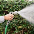 Miniatyrbild 2 av 9: Utdragbar trädgårdsslang Hoxtend InnovaGoods 30 m