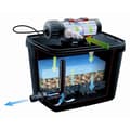 Miniatyrbild 2 av 2: Ubbink FiltraPure 7000 Plus dammfilterset 37 L 1355972 403666