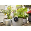 Miniatyrbilde 4 av 8: Automatisk drypp vanningssystem for plantepotter Gardena Aquabloom