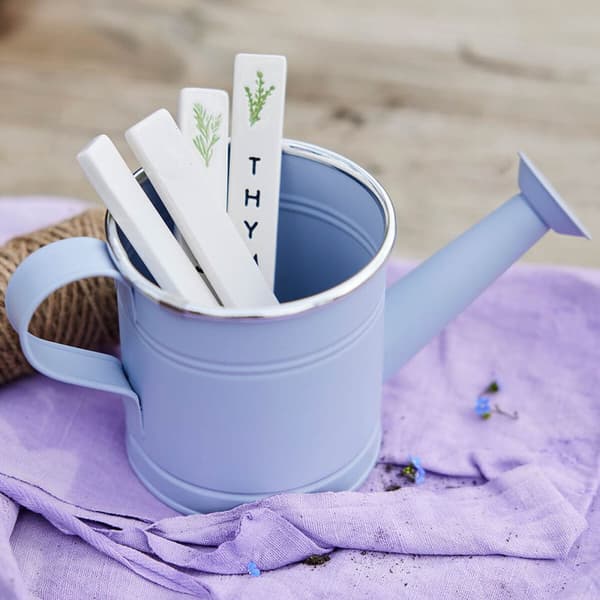 Koristeellinen kastelukannu Decoris Eri värejä Sinkki