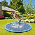 Miniatyrbild 5 av 5: Svalkande sprinklermatta för hundar - 150cm - Hundvattenfontän - Stor pool sommarleksaker för hundar