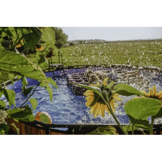 Exit Wood Pool Ø427X122Cm Med Filterpump - Brun