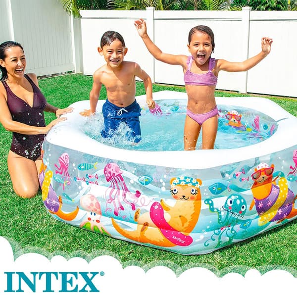 Intex Aquarius Pool Flerfarvet 541 Liters
