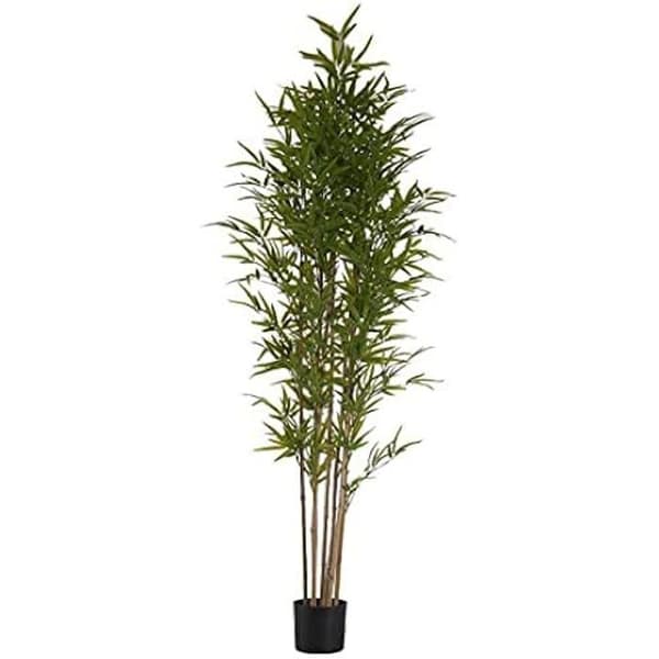 Dekorativ växt - Bambu - Grön - Plast - 80 x 180 x 80 cm - 4,25 kg