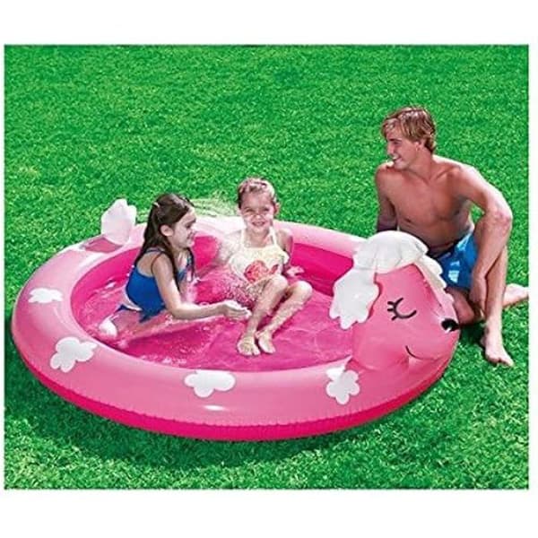 Poolskydd - INTEX - Standard - Flerfärgad - 40 x 48 x 26,5 cm - Referens S8901737