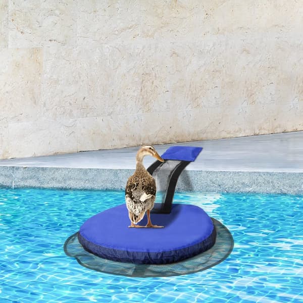 INF Pool Animal Escape Ramp - Hjælp dyr sikkert ud