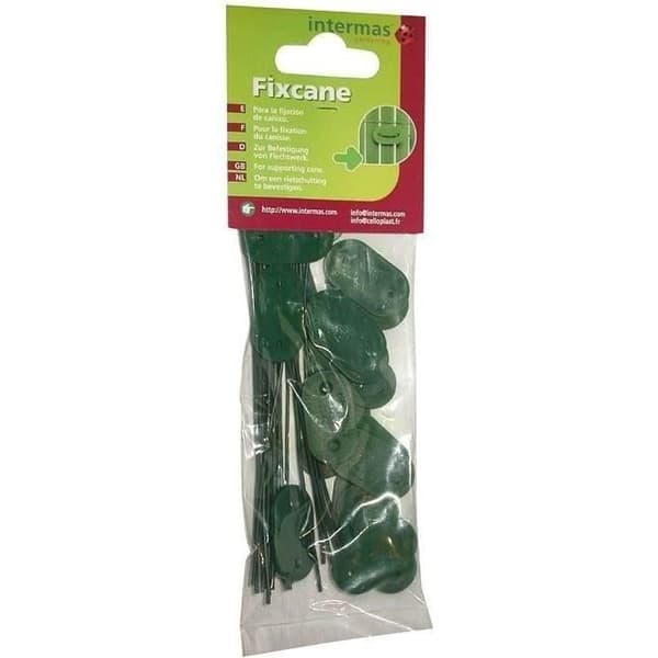 Fixcane käppfäste - INTERMAS GARDENING - Paket med 26 - PVC - Grön