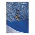 Miniatyrbild 5 av 6: Pool Cover Gre CV300 Blå Ø 300 cm