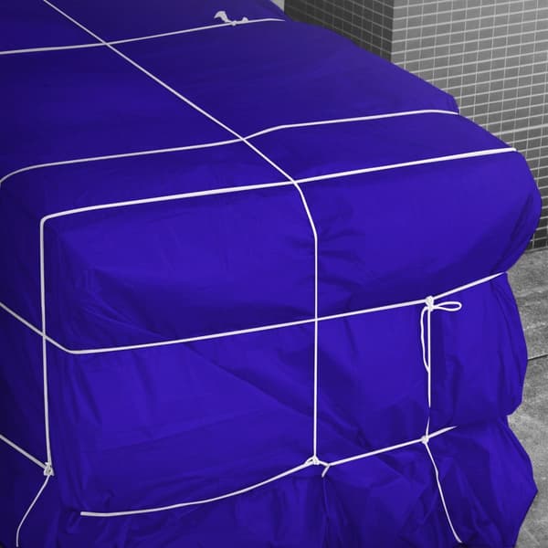 Presenning med öljetter 5x9 m 650 g/m² med 10 elastiska band Blå PVC