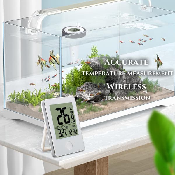 Trådlös Flytande Pooltermometer med LED-display