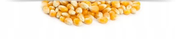 Majspopcorn til stegning og mikroovn - 1 kg uden salt