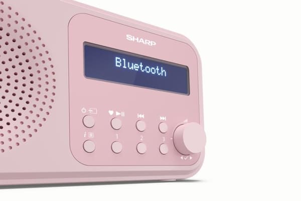 Sharp DR-P420 - Kannettava - Digitaalinen - DAB - DAB+ - FM - Automaattinen haku - Automaattinen viritys - 2W - AAC (DR-P420PK)