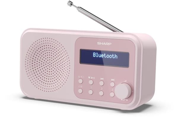 Sharp DR-P420 - Kannettava - Digitaalinen - DAB - DAB+ - FM - Automaattinen haku - Automaattinen viritys - 2W - AAC (DR-P420PK)