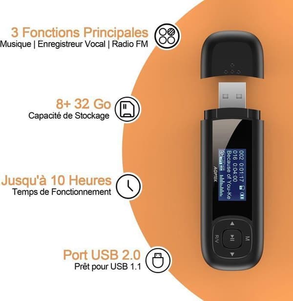 AGPTEK 40 GB USB Mp3-spelare med LCD-skärm, mini lätt walkman musikspelare för sport, 10H musikuppspelning batteritid