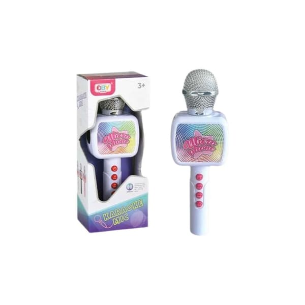 Karaoke Microphone