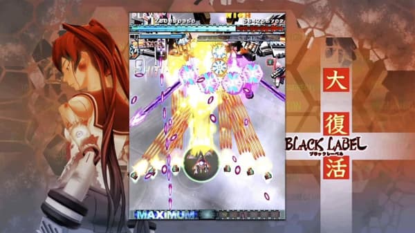 Do-Don-Pachi Resurrection
