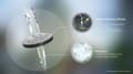 Miniatyrbild 11 av 11: Brita Vital peach 2-skiva filterflaska