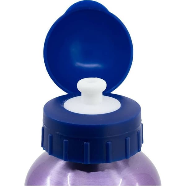 Vattenflaska Frozen CZ11261 530 ml Blå Aluminium