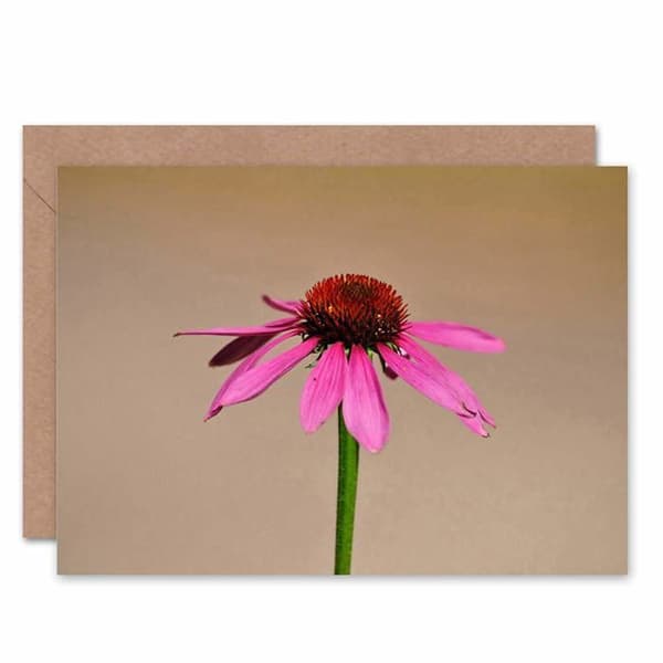 Wee blue coo - CL356 - Nature Plant Flower Echinacea Rose Tomt födelsedagskort