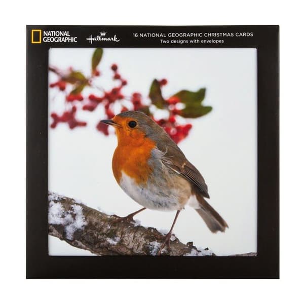 Hallmark - 25572278 - Julkort - Set med 16 i 2 National Geographic-mönster