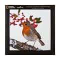 Miniatyrbild 3 av 4: Hallmark - 25572278 - Julkort - Set med 16 i 2 National Geographic-mönster