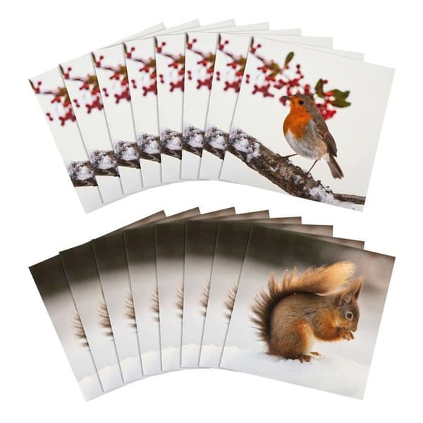 Hallmark - 25572278 - Julkort - Set med 16 i 2 National Geographic-mönster