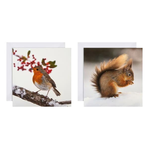 Hallmark - 25572278 - Julkort - Set med 16 i 2 National Geographic-mönster