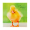 Miniatyrbild 3 av 4: Hallmark - ECM25567177 - Set med 10 välgörenhetspåskkort med 2 söta djurdesigner