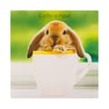 Miniatyrbild 4 av 4: Hallmark - ECM25567177 - Set med 10 välgörenhetspåskkort med 2 söta djurdesigner