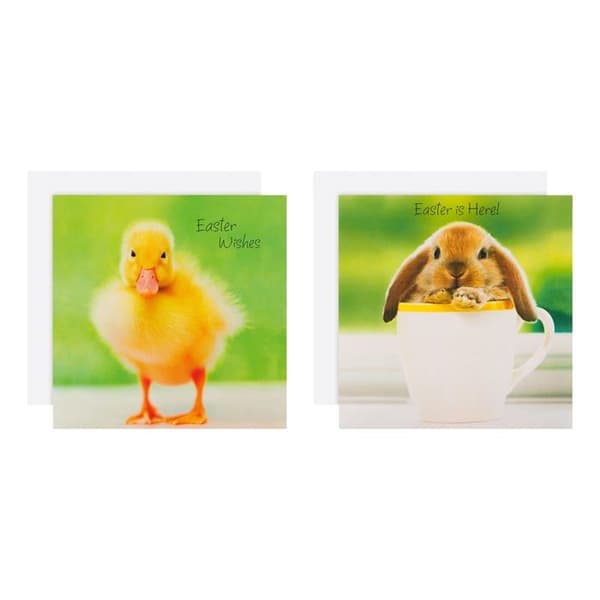 Hallmark - ECM25567177 - Set med 10 välgörenhetspåskkort med 2 söta djurdesigner