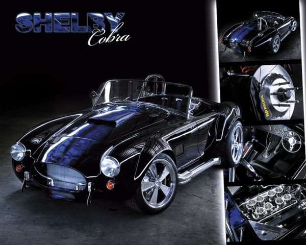 Easton - Shelby Cobra