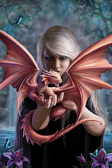 Anne Stokes - Dragon Baby