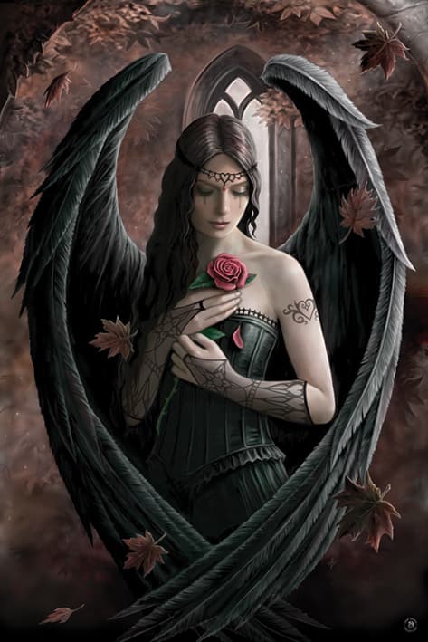 Anne Stokes - Angel Rose