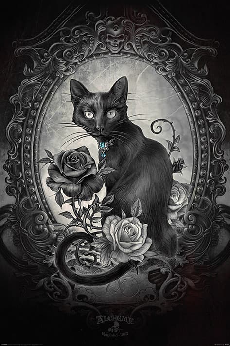 Alchemy - Paracelcus - Cat - Katt