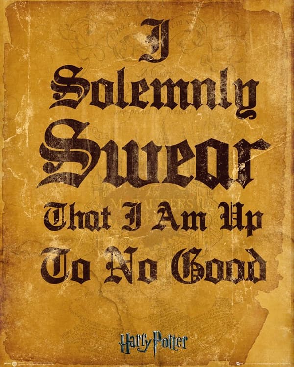 Harry Potter - I Solemnly Swear I Am Up To No Good