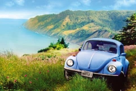 Volkswagen VW Beetle - Bubbla