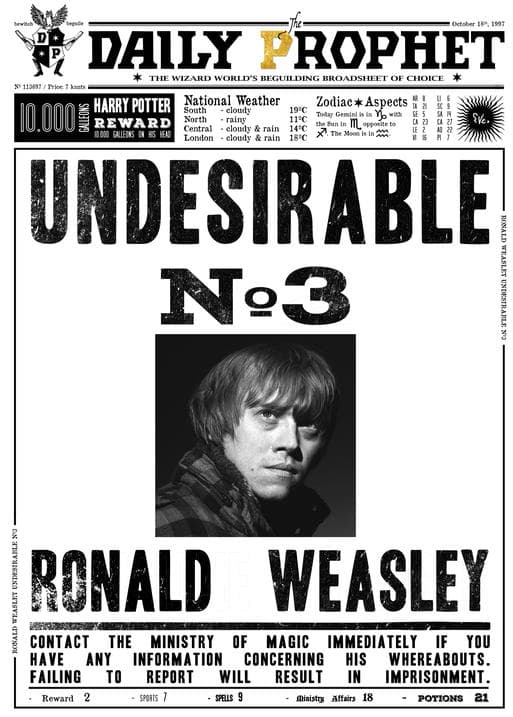 A3 Print - Harry Potter - Daily Prophet - Donald Weasley No 3
