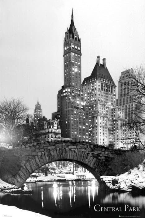 New York - Central Park Snow