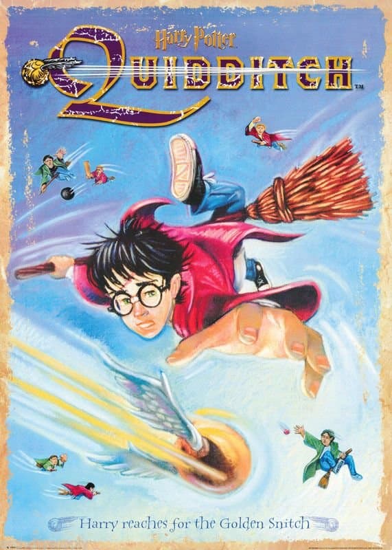Harry Potter - Quidditch