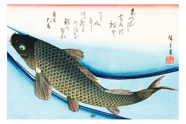 Ando Hiroshige - Karp - Asiatisk konst