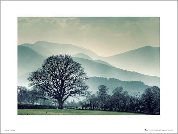 Exklusivt Art Print - Winter Tree Landscape
