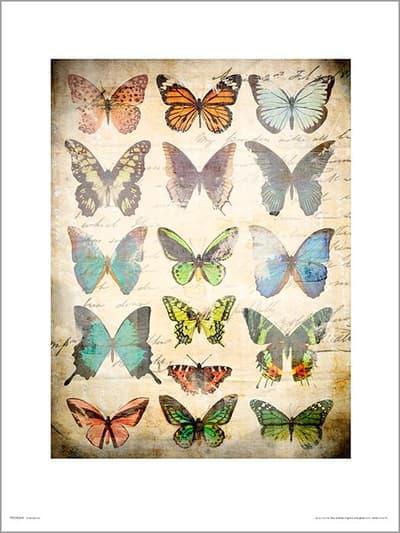 Exklusivt Art Print - Butterflies Vintage - Fjärilar
