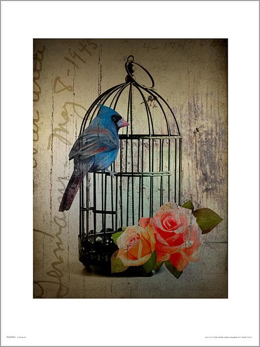 Exklusivt Art Print - Birdcage Vintage - Fågelbur