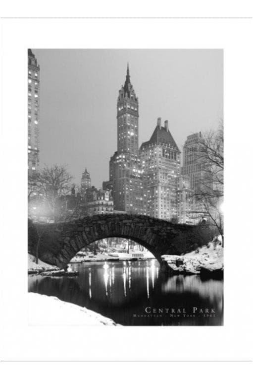 Poster - Central Park 1961 B/W