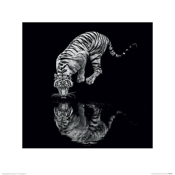 Tiger - Into the Dark I