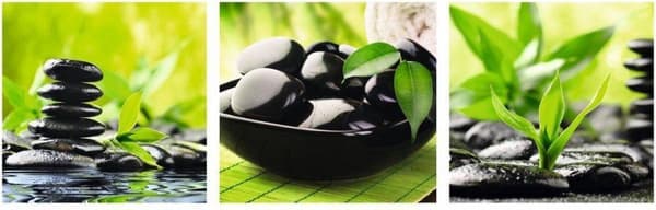 Wellness - Green